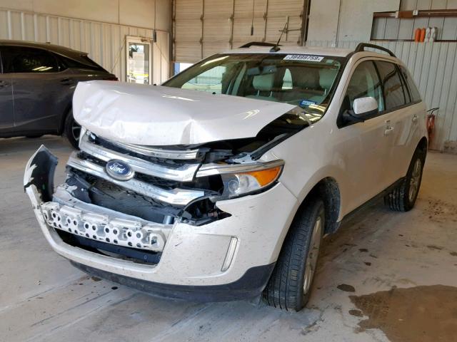 2FMDK3JC1EBB75266 - 2014 FORD EDGE SEL WHITE photo 2