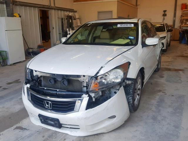 5KBCP3F83AB003387 - 2010 HONDA ACCORD EXL WHITE photo 2