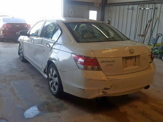 5KBCP3F83AB003387 - 2010 HONDA ACCORD EXL WHITE photo 3