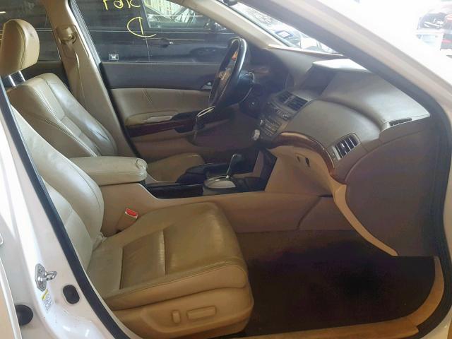 5KBCP3F83AB003387 - 2010 HONDA ACCORD EXL WHITE photo 5