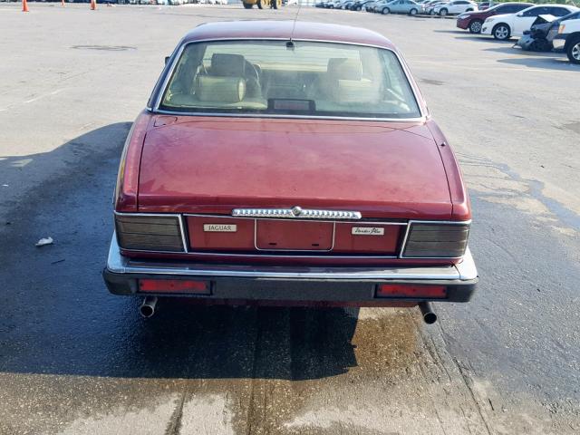 SAJKY1743MC647126 - 1991 JAGUAR XJ6 VANDEN BURGUNDY photo 9