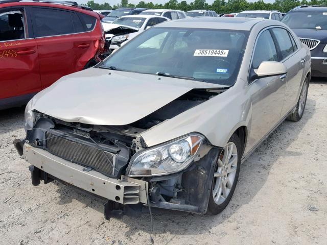 1G1ZE5E7XBF366553 - 2011 CHEVROLET MALIBU LTZ ოქროსფერი ფოტო 2