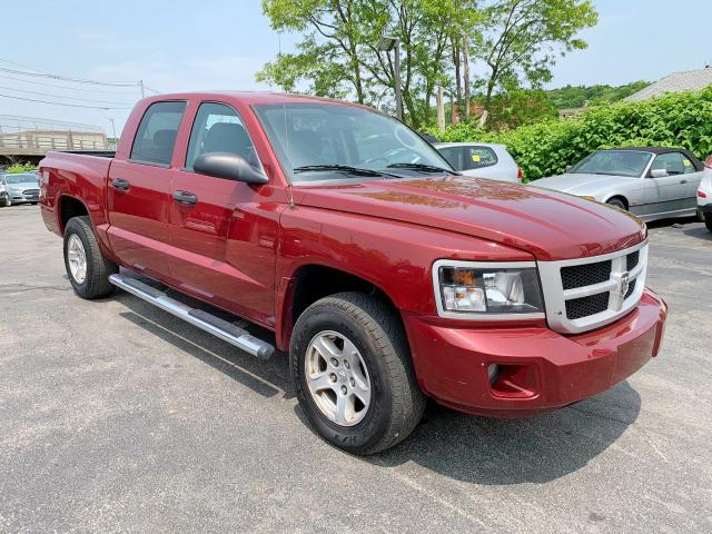 1D7RW3GK6BS572055 - 2011 DODGE DAKOTA SLT RED photo 1