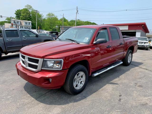 1D7RW3GK6BS572055 - 2011 DODGE DAKOTA SLT RED photo 2