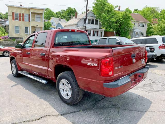 1D7RW3GK6BS572055 - 2011 DODGE DAKOTA SLT RED photo 3