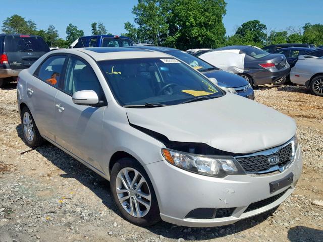 KNAFU4A24C5568696 - 2012 KIA FORTE EX GRAY photo 1