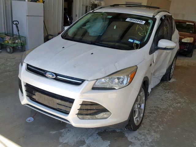 1FMCU0J96EUA76672 - 2014 FORD ESCAPE TIT WHITE photo 2