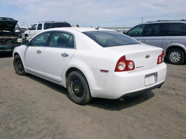 1G1ZE5E7XAF302690 - 2010 CHEVROLET MALIBU LTZ თეთრი ფოტო 3