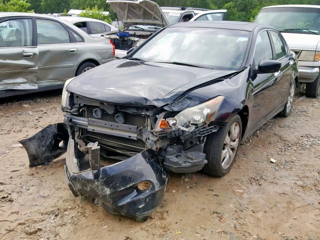 1HGCP36838A025554 - 2008 HONDA ACCORD EXL BLACK photo 2