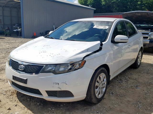 KNAFU4A27B5357135 - 2011 KIA FORTE EX WHITE photo 2