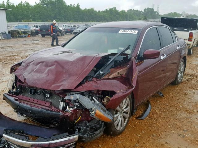 1HGCP3F86CA034600 - 2012 HONDA ACCORD EXL RED photo 2