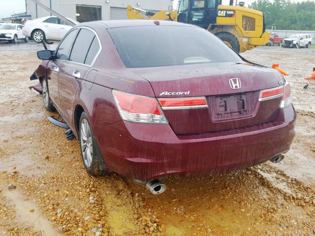 1HGCP3F86CA034600 - 2012 HONDA ACCORD EXL RED photo 3