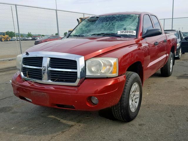 1D7HE48K96S584452 - 2006 DODGE DAKOTA QUA RED photo 2