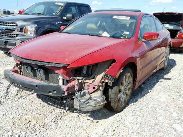 1HGCS2B81AA000723 - 2010 HONDA ACCORD EXL RED photo 2