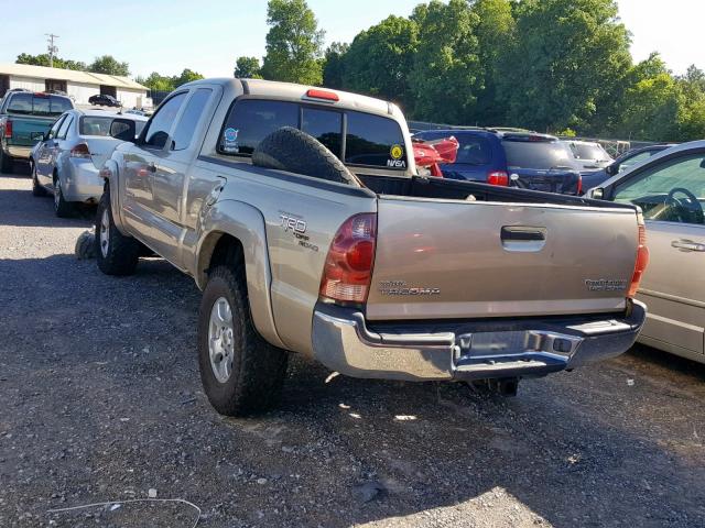 5TETU62N75Z129695 - 2005 TOYOTA TACOMA PRE GOLD photo 3