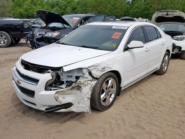 1G1ZC5E15BF363853 - 2011 CHEVROLET MALIBU 1LT WHITE photo 2