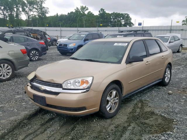 1G1ZT62854F230200 - 2004 CHEVROLET MALIBU MAX 金色 照片 2