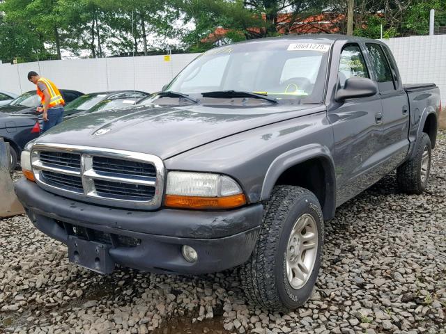 1D7HG48N54S752217 - 2004 DODGE DAKOTA QUA GRAY photo 2