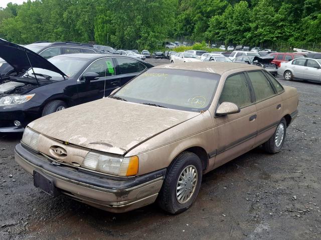 1FACP50U1MA251074 - 1991 FORD TAURUS L BROWN photo 2