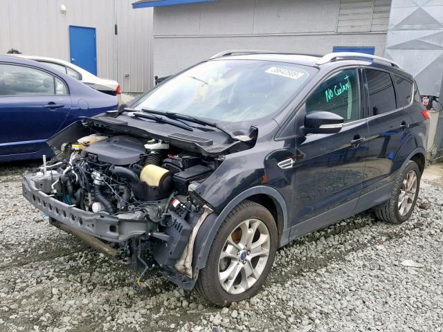 1FMCU0JX4EUE05027 - 2014 FORD ESCAPE TIT BLACK photo 2