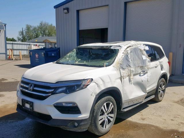 5FNYF6H79HB017544 - 2017 HONDA PILOT EXLN WHITE photo 2