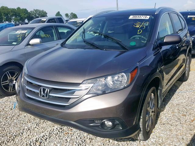 2HKRM3H79EH533344 - 2014 HONDA CR-V EXL BROWN photo 2