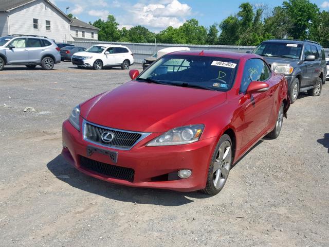 JTHFF2C21C2524279 - 2012 LEXUS IS 250 RED photo 2