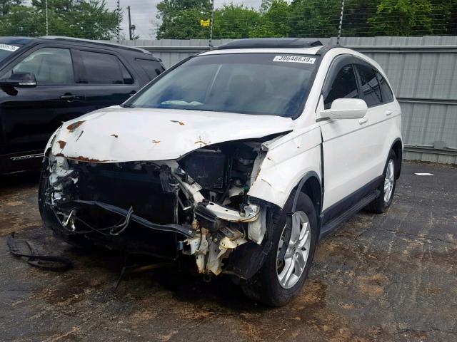 5J6RE3H76BL008269 - 2011 HONDA CR-V EXL WHITE photo 2