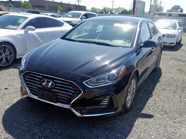 5NPE34AF6JH627877 - 2018 HYUNDAI SONATA SPO BLACK photo 2