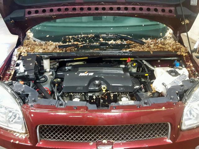 1GNDV23157D164955 - 2007 CHEVROLET UPLANDER L 红色 照片 7