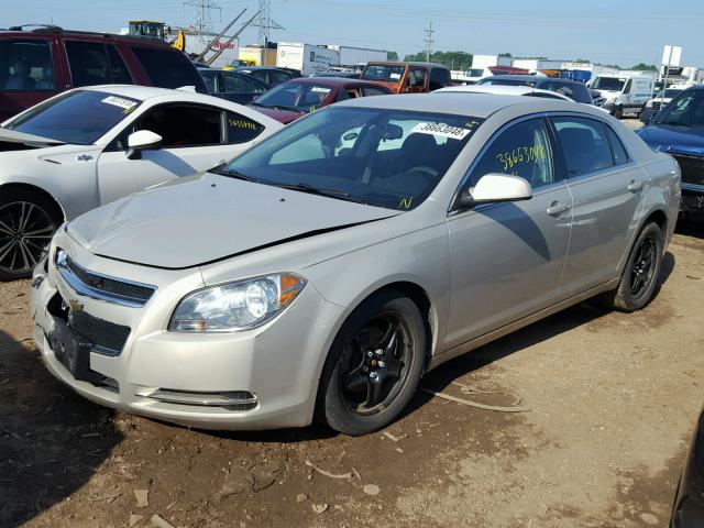 1G1ZC5EB5AF148688 - 2010 CHEVROLET MALIBU 1LT 米色 照片 2