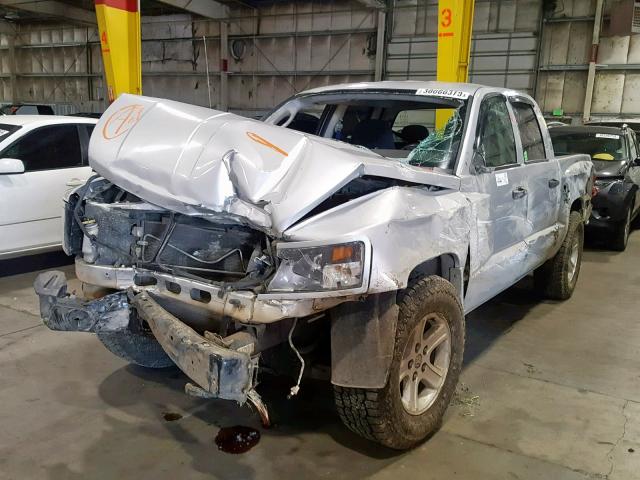 1D7RW3GKXBS649011 - 2011 DODGE DAKOTA SLT SILVER photo 2