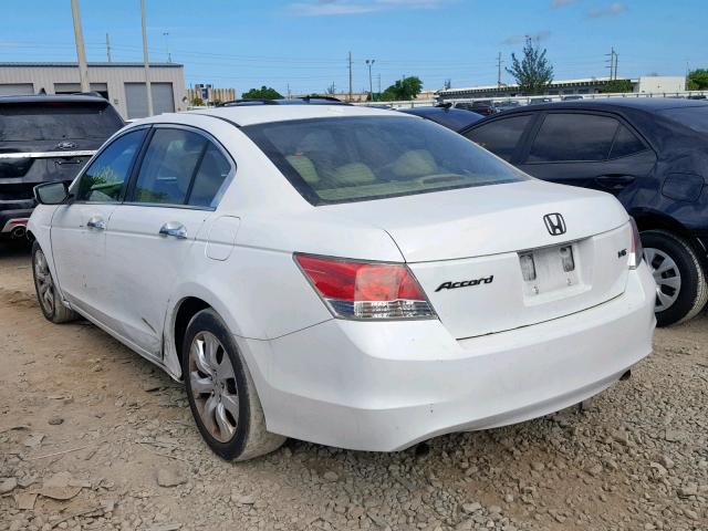 1HGCP36889A043310 - 2009 HONDA ACCORD EXL WHITE photo 3