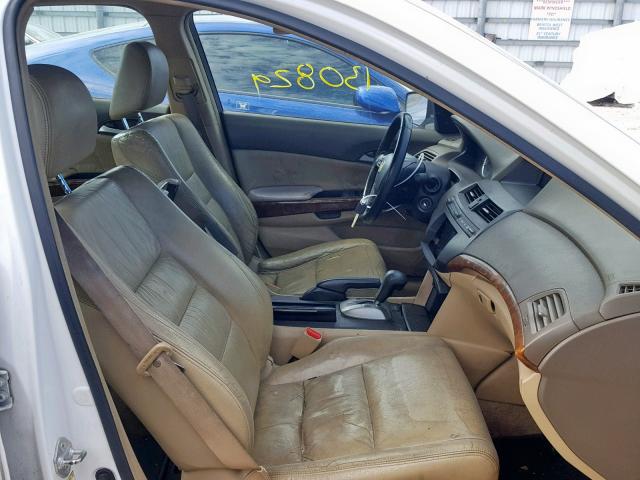 1HGCP36889A043310 - 2009 HONDA ACCORD EXL WHITE photo 5