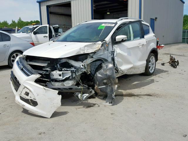 1FMCU0JX4EUB37936 - 2014 FORD ESCAPE TIT WHITE photo 2