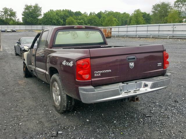 1D7HW48N05S128037 - 2005 DODGE DAKOTA QUA PURPLE photo 3