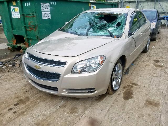 1G1ZH57B994168416 - 2009 CHEVROLET MALIBU 1LT ოქროსფერი ფოტო 2