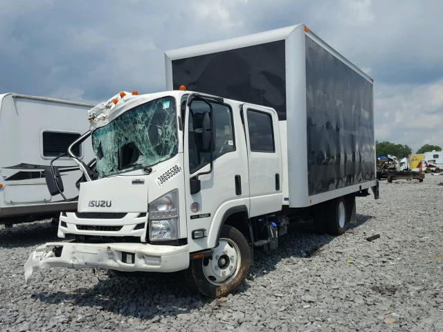 JALE5J167J7901907 - 2018 ISUZU NQR WHITE photo 2