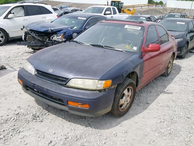 1HGCD5606VA119969 - 1997 HONDA ACCORD SE RED photo 2