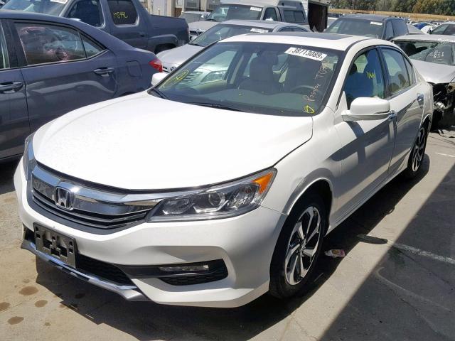 1HGCR3F83HA043384 - 2017 HONDA ACCORD EXL WHITE photo 2