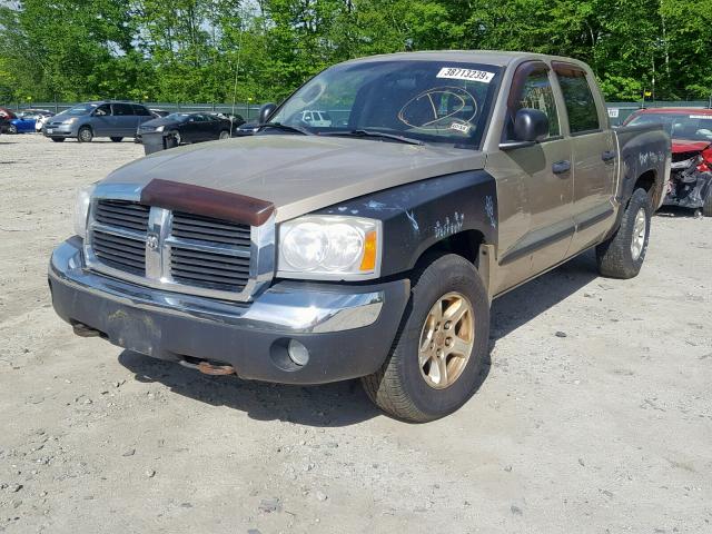 1D7HW48N25S327767 - 2005 DODGE DAKOTA QUA TAN photo 2