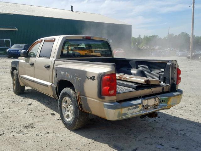 1D7HW48N25S327767 - 2005 DODGE DAKOTA QUA TAN photo 3