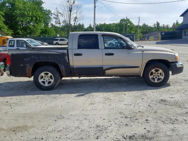 1D7HW48N25S327767 - 2005 DODGE DAKOTA QUA TAN photo 9