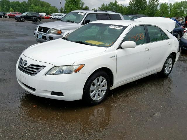 JTNBB46K773014114 - 2007 TOYOTA CAMRY NEW WHITE photo 2