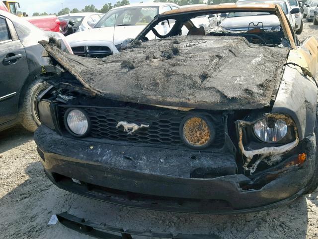 1ZVFT82H755251639 - 2005 FORD MUSTANG GT BURN photo 9