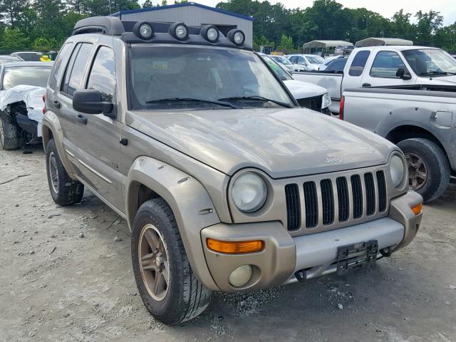 1J4GK38K73W658345 - 2003 JEEP LIBERTY RE TAN photo 1