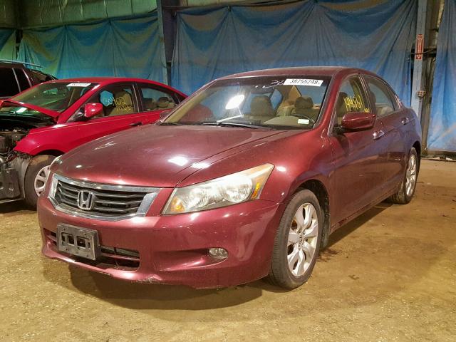 1HGCP36889A045753 - 2009 HONDA ACCORD EXL MAROON photo 2