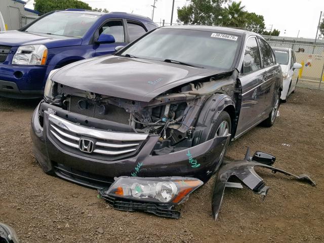 1HGCP3F85BA005202 - 2011 HONDA ACCORD EXL BROWN photo 2