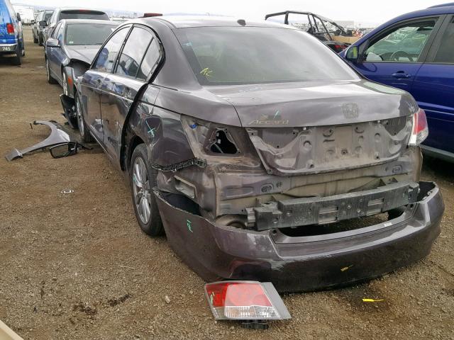 1HGCP3F85BA005202 - 2011 HONDA ACCORD EXL BROWN photo 3