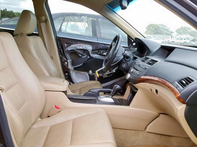 1HGCP3F85BA005202 - 2011 HONDA ACCORD EXL BROWN photo 5